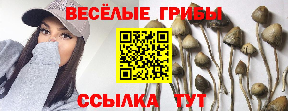 Псилоцибиновые грибы мицелий  Псилоцибиновые грибы Cubensis  Вход с VPN  Холмск 